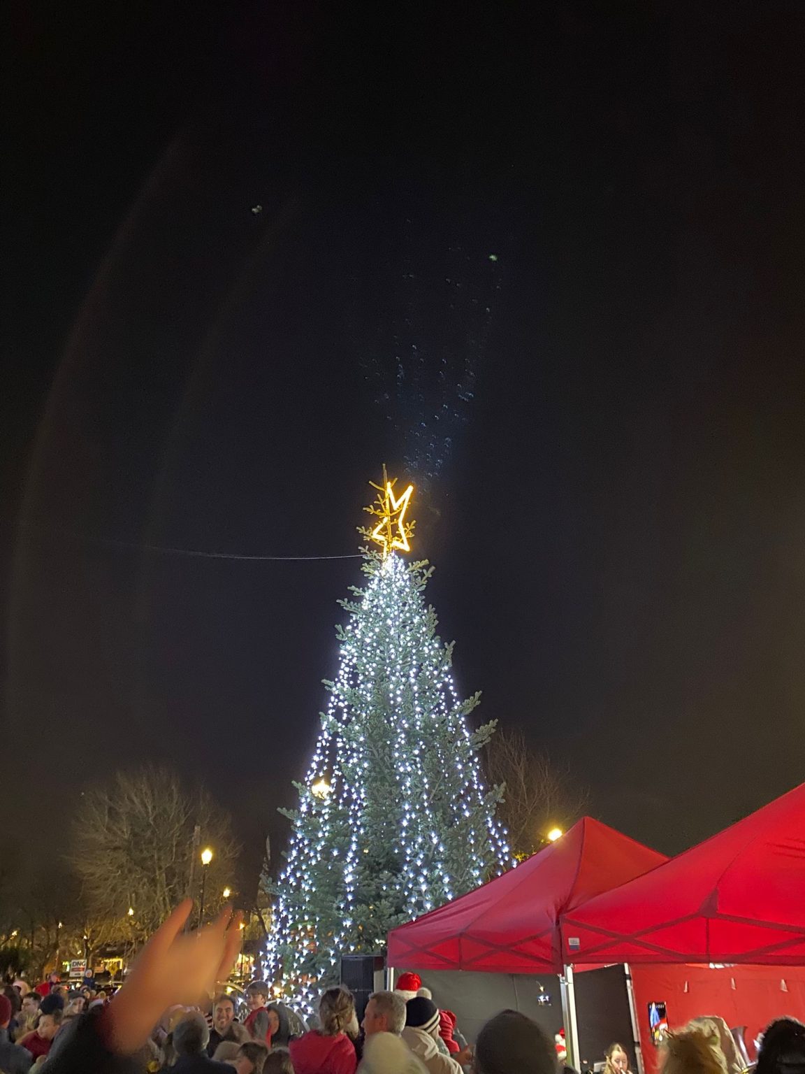 The Tree Blanchardstown Christmas Tree Lights – The Magic Has Begun 🎄 - 92.5 ...
